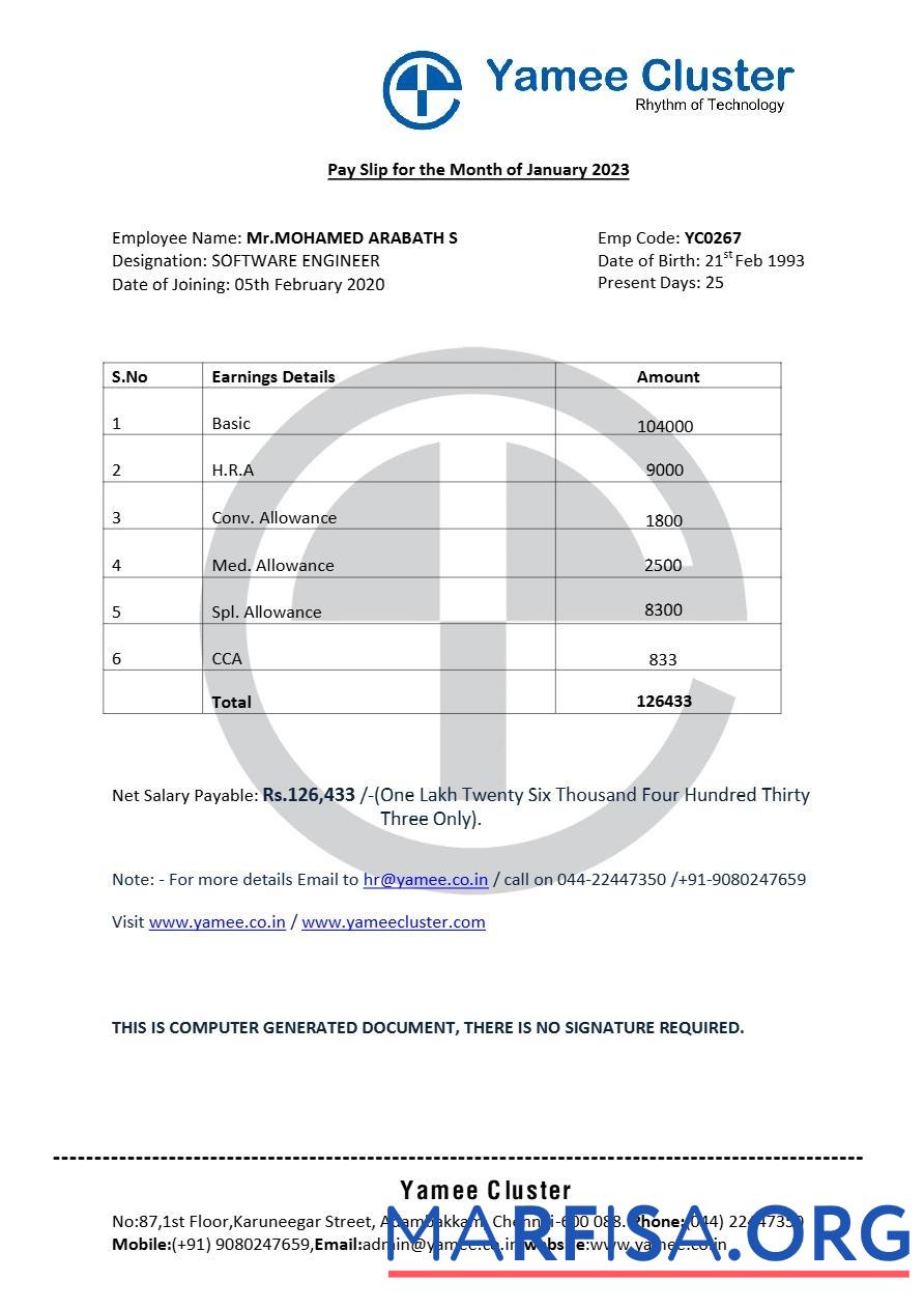 Blank Yamee Cluster software company payslip example